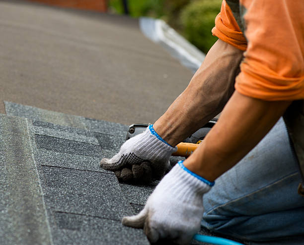 Best Roof Restoration Services  in Hayfork, CA