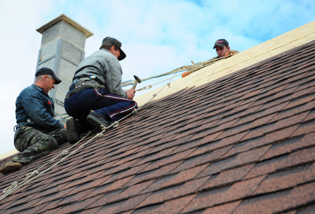 Best Storm Damage Roof Repair  in Hayfork, CA