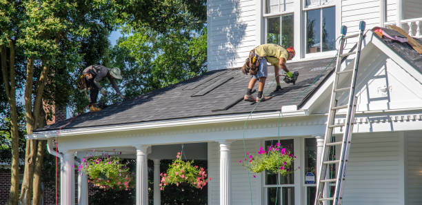 Best Roof Leak Repair  in Hayfork, CA